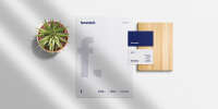 Femminit consulting