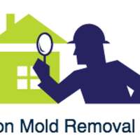 Hoschton Mold Removal Experts