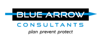 Blue arrow consult