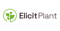 Elicit plant