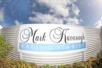 Mark kavanagh racing stables