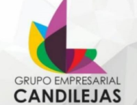 Grupo empresarial vitrina s.a.s.