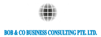 Robert schliszio it consulting