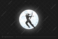 Night archery
