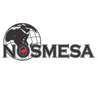 Nosmesa labour solutions (pty) ltd