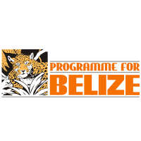 Programme for belize