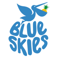 Blue skies, llc