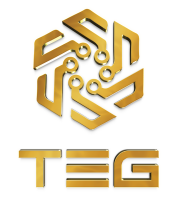 Teg investments south africa