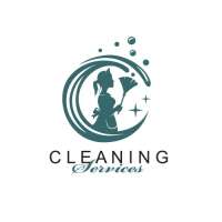 The cleaner company