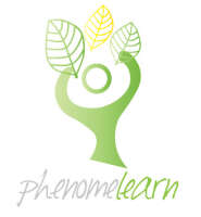 Phenomelearn