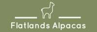 Flatland alpacas