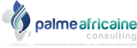 Palme africaine consulting