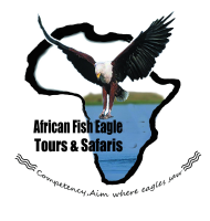 Fish eagle safaris and tst tours