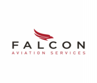 Falcon svc, llc