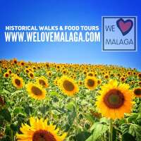 Welovemalaga - walking, tapas and ebike tours in malaga