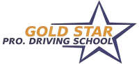 Successsful Driver Training Group