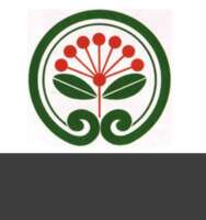 Auckland transition agency