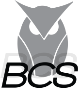 Burquel consultancy services (bcs) sàrl