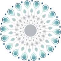 Evolution Therapies