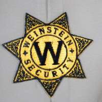 Weinstein security inc
