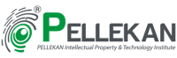 Pellekan intellectual property & technology institute