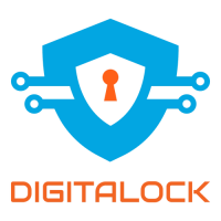 Cyber placements