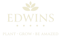 Edwins