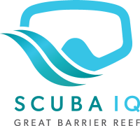 Scuba IQ