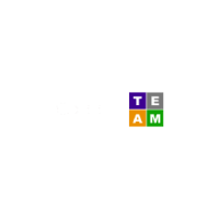 Career team ltd