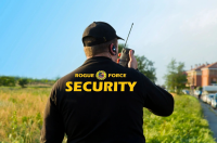 Rogue force (security & staffing)