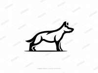 Black alsatian