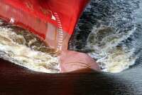 Triple "a"​ marine risks ltd
