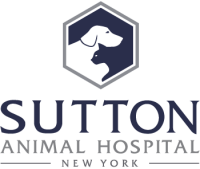 Sutton animal hospital