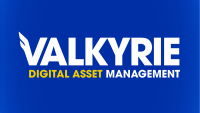 Vits - valkyrie investment & trading society