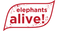 Elephants alive