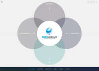 Gcs agile