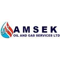 Southoak oil and gas services limited
