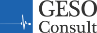 Geso consult gmbh