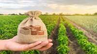Farm Mortgage Capital