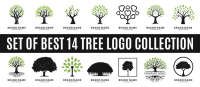 Tress