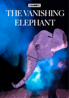 Vanishing elephant