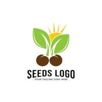Cofiges sead