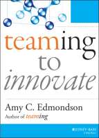 Teeming innovation partnering
