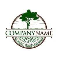 Matute tree service and landscaping