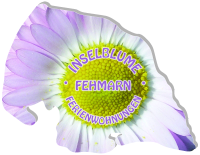 Inselblume fehmarn