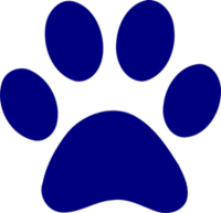 Blue paw artists