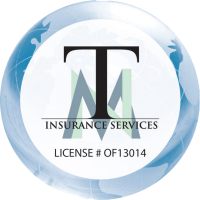 Tmn Insurance Services INC