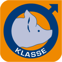 Klasse ki