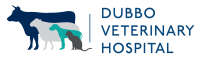 Dubbo veterinary hospital