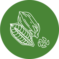Via verde consultoria agropecuária em sistemas tropicais